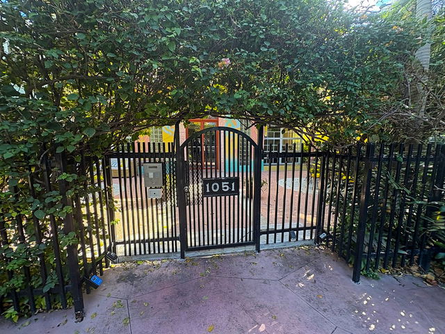 The Flamingo Plaza  photo 2